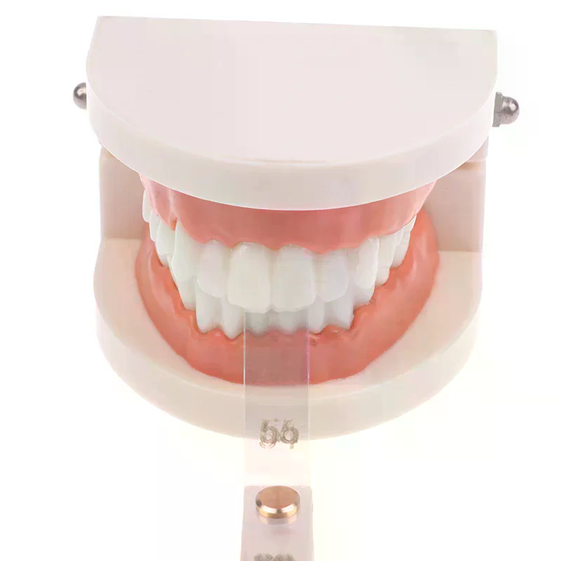 ACR/Dentalny Miernik Redukcji  – Ruler Set Transparent recenzja i cena